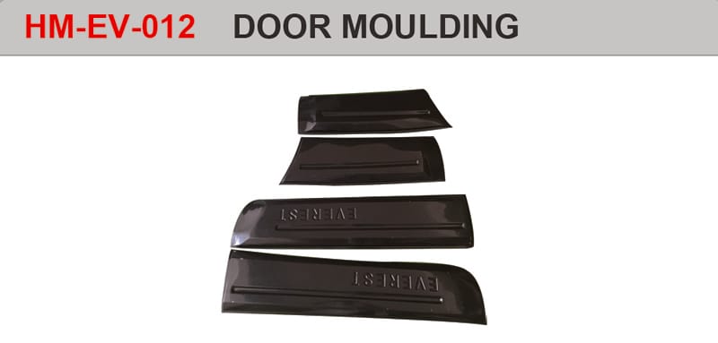Ford Everest Door Moulding
